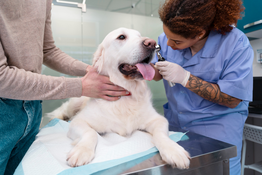 Pet Medical Sevices